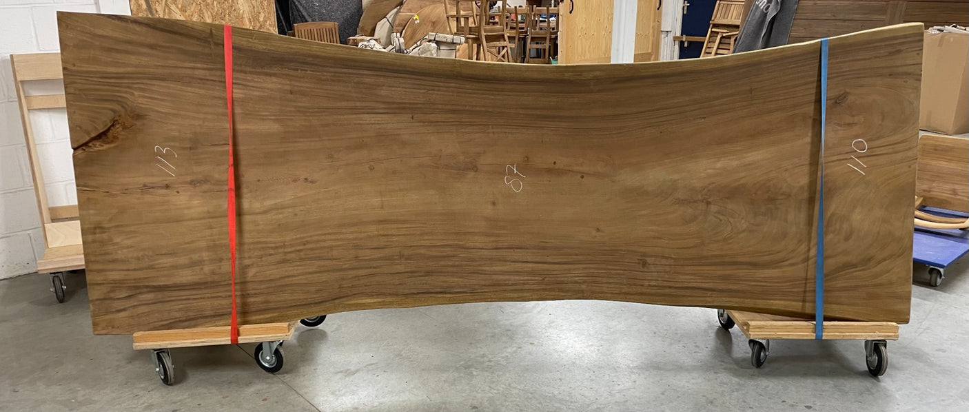 Baumstammtisch Spider Special