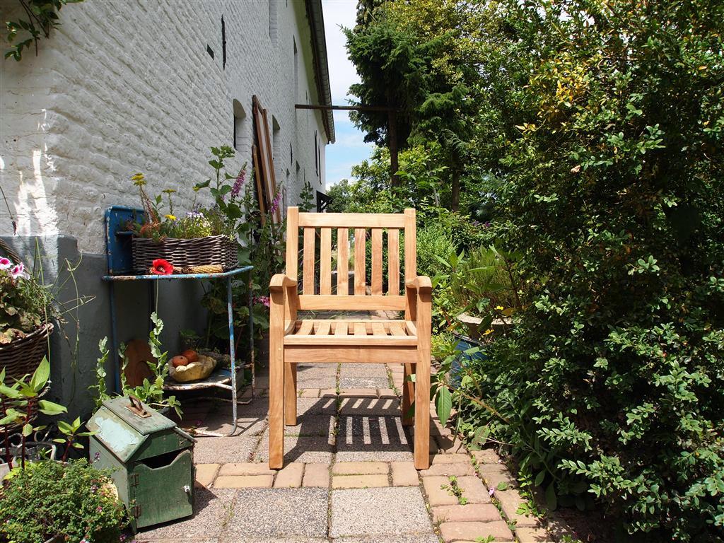 Das härteste Holz der Welt