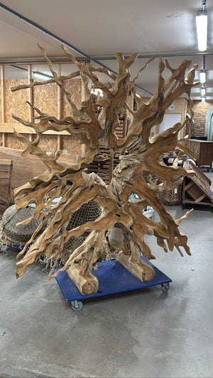 Teak Wurzel Raumteiler 180×200 cm – Unikat