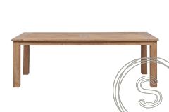 Teak Gartentisch 300 x 100 cm