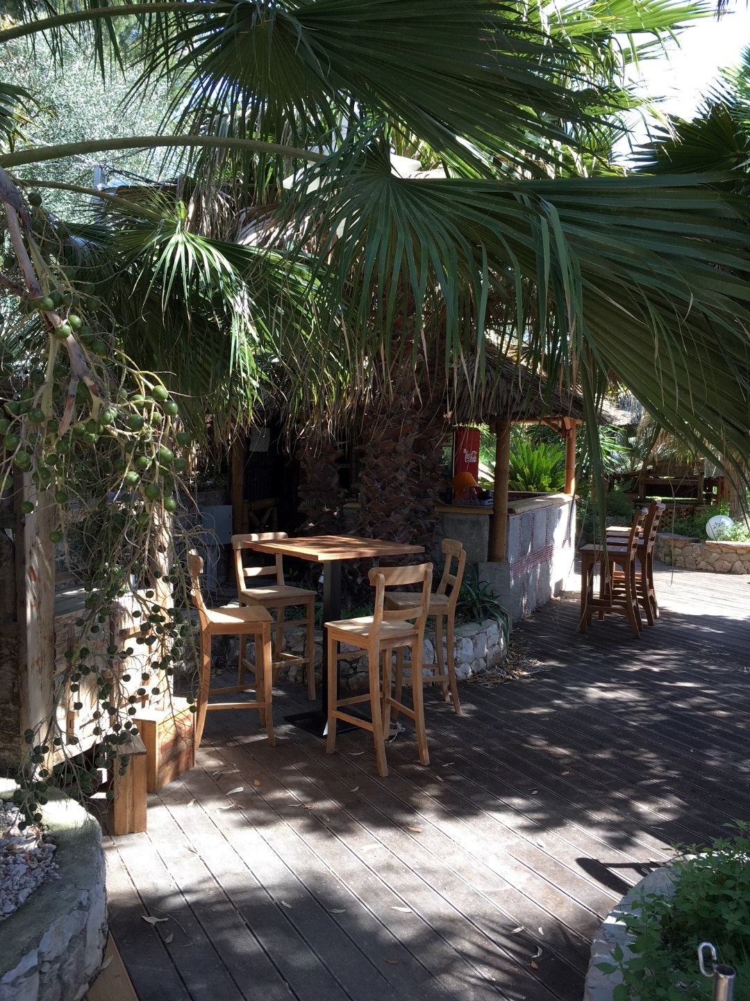 Teakmoebel unter Palmen: Toto's Restaurant in Kroatien