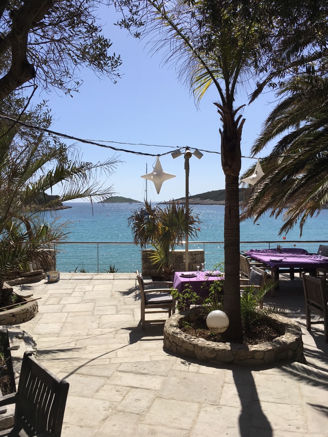 Teakmoebel unter Palmen: Toto's Restaurant in Kroatien